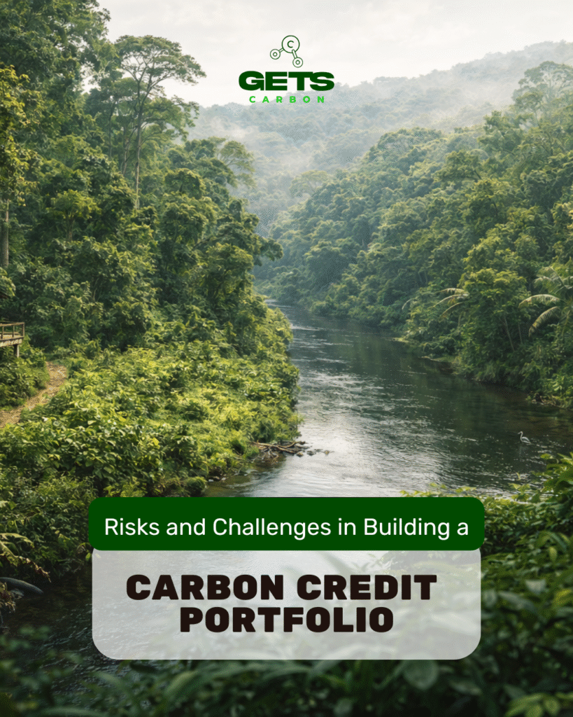 Carbon Credit Portfolio