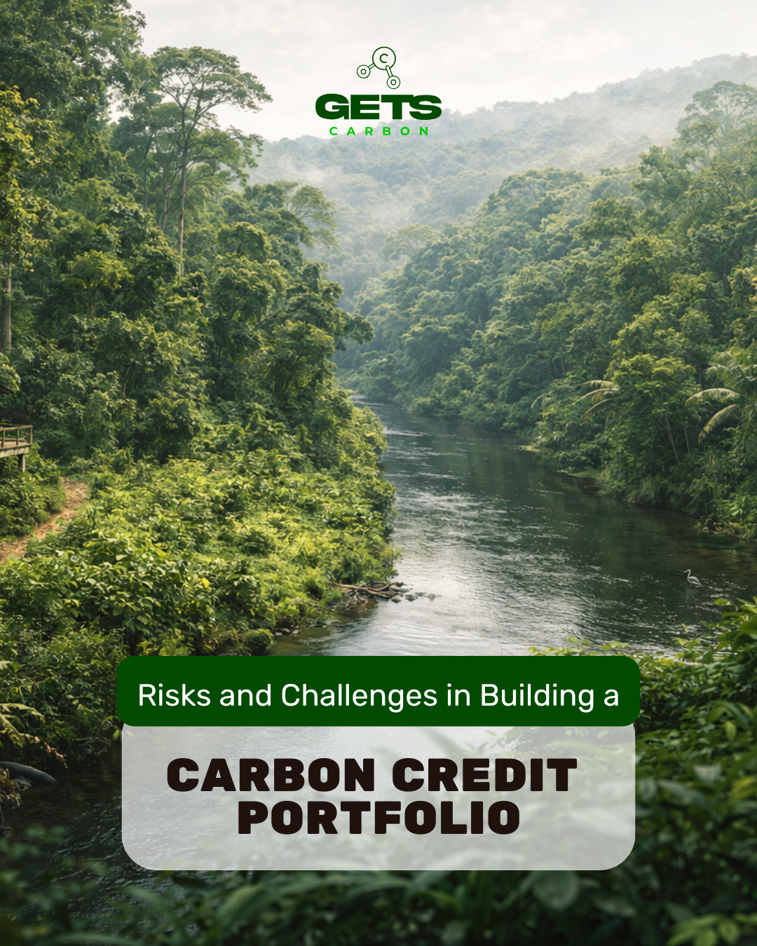 Carbon Credit Portfolio