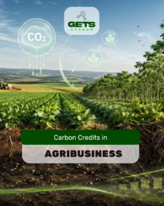 Carbon Credits in Agribusiness