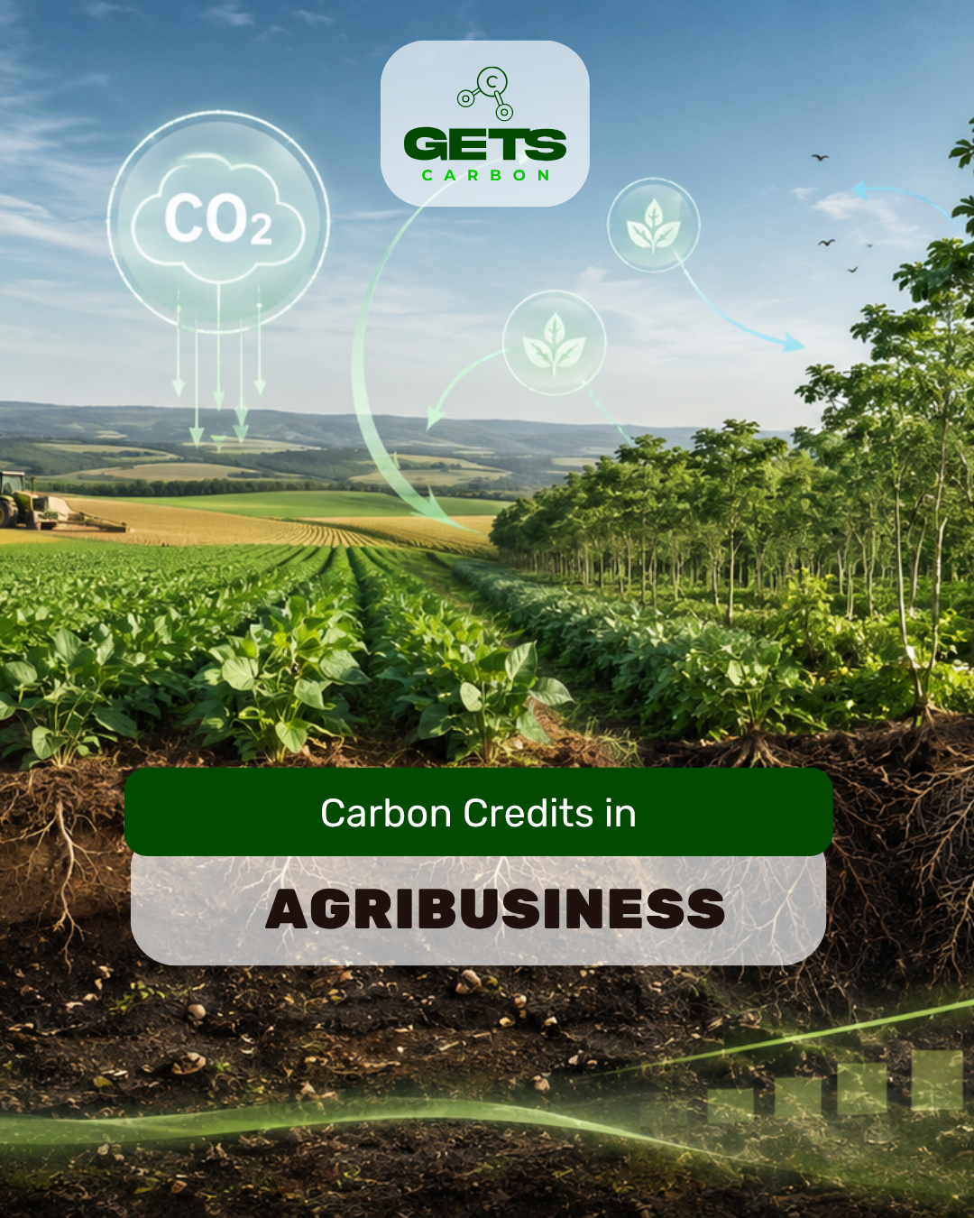 Carbon Credits in Agribusiness